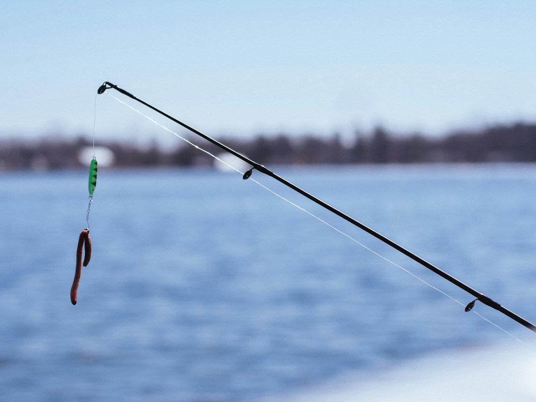 How to Choose the Perfect Fishing Rod and Reel Combo