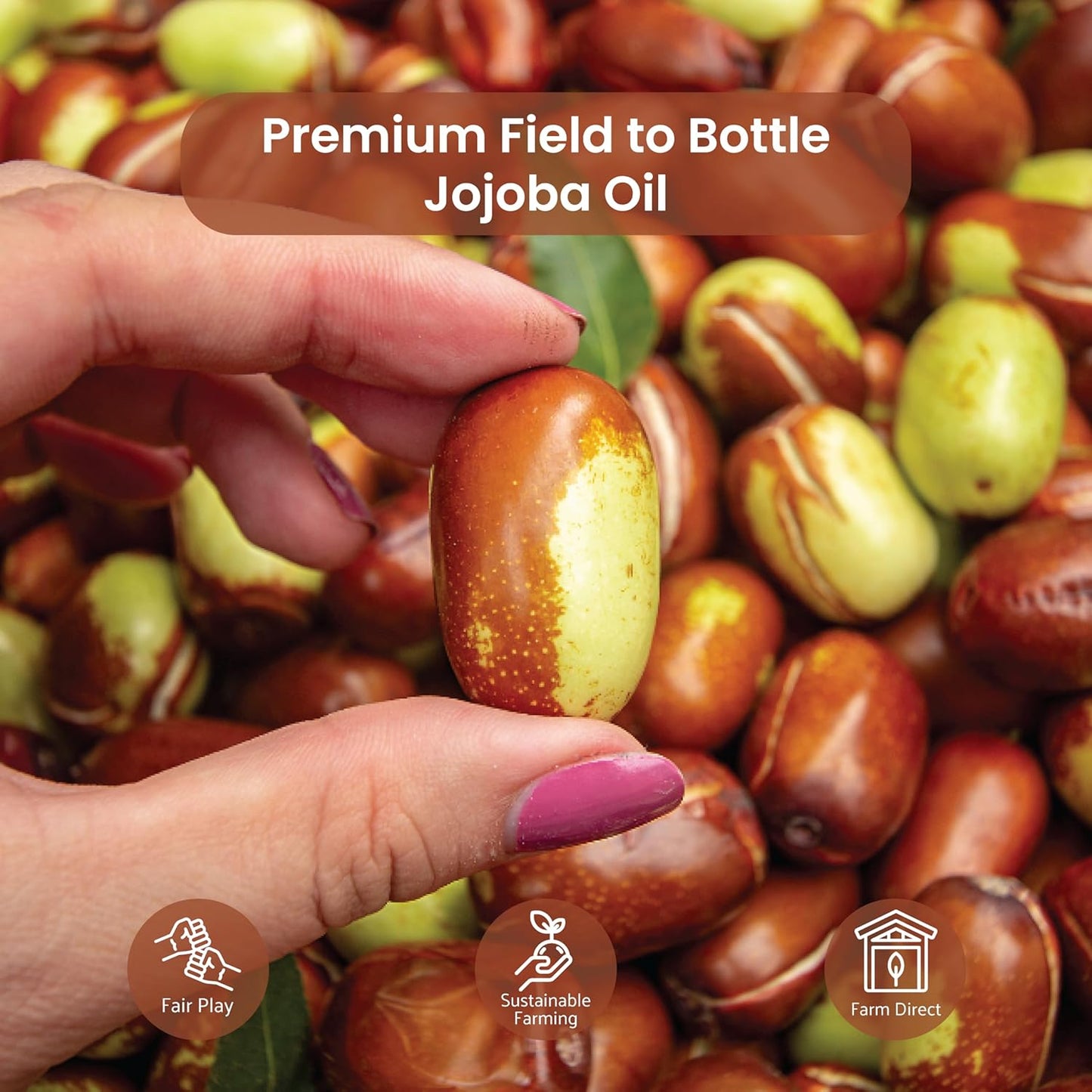 Jojoba Oil - Direct from EIR Oils' Farm in Israel - 100% Pure Carrier Oil for Hair, Face, and Skin - Hand-Picked, Cold-Pressed Carrier Oil (16oz)